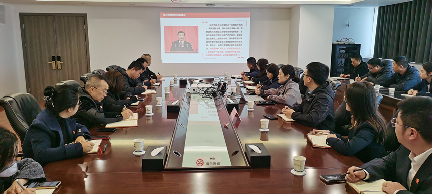 集團(tuán)黨委委員、副總經(jīng)理賀維維同志講授專題黨課