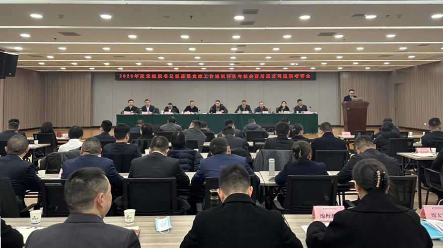 綿投集團(tuán)黨委召開2023年黨組織書記抓基層黨建述職評議會(huì)